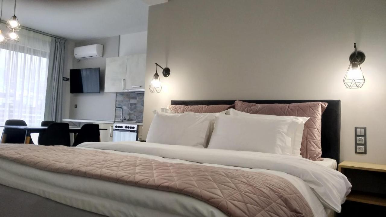 Psammites Apartment Калампака Екстериор снимка